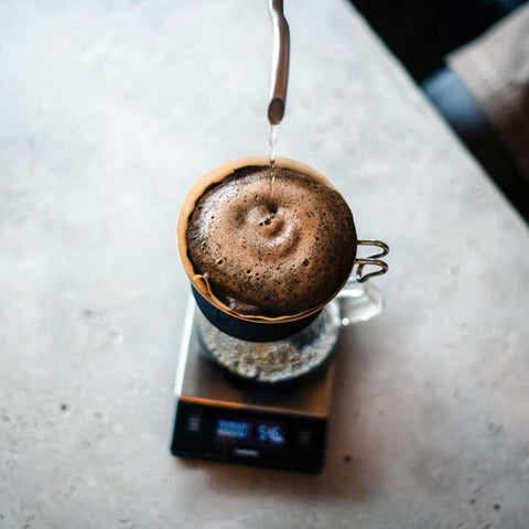 オススメ お試しセット 100g x3