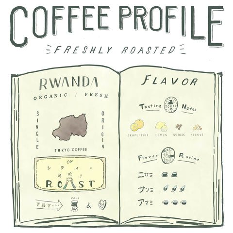 中浅煎り お試しセット 100g x3