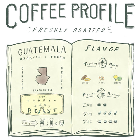 中南米 お試しセット 100g x3