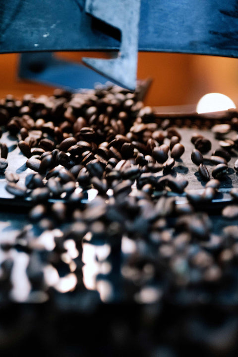 Organic Extinction Blend by 「ode」 - オーガニックコーヒーの通販、サブスク - コーヒー豆の卸売り | TOKYO COFFEE Organic Coffee