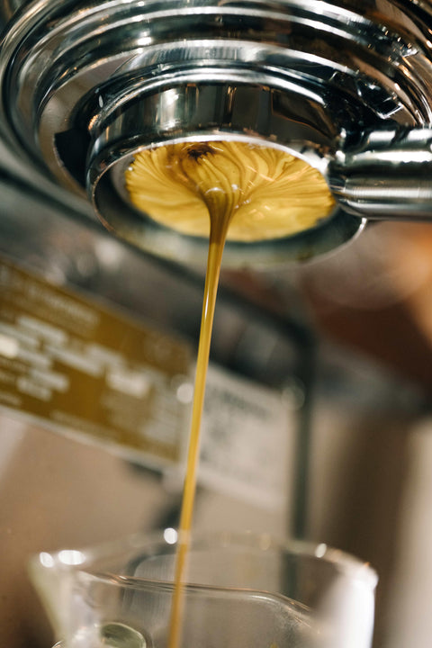 Blends Sampler 50g x4 - オーガニックコーヒーの通販、サブスク - コーヒー豆の卸売り | TOKYO COFFEE Organic Coffee