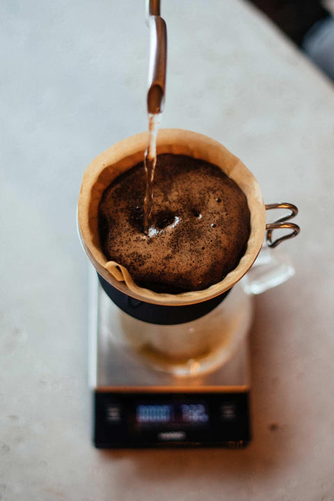 オーガニック, 卸売り, 卸売りコーヒー, 業務用 TOKYO COFFEE | Organic Wholesale Coffee Beans 業務用 オーガニック コーヒー豆 卸売り コーヒー