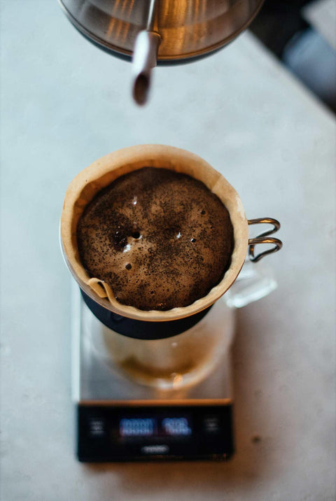 オススメ Sampler 50g x4 - オーガニックコーヒーの通販、サブスク - コーヒー豆の卸売り | TOKYO COFFEE Organic Coffee