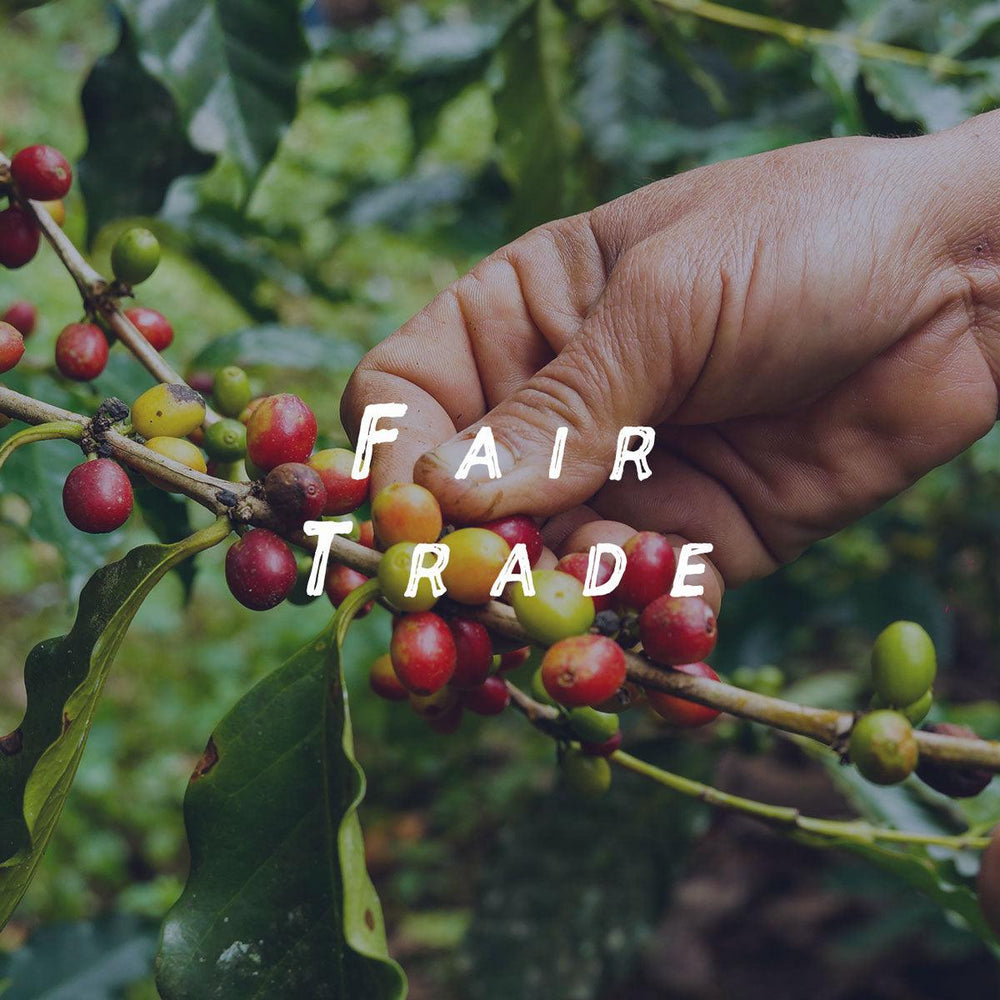 Live Organic: Fairtrade
