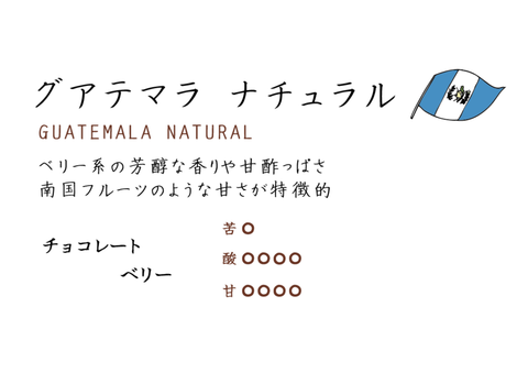 オーガニック コーヒー ｜ グアテマラ　ナチュラル製法