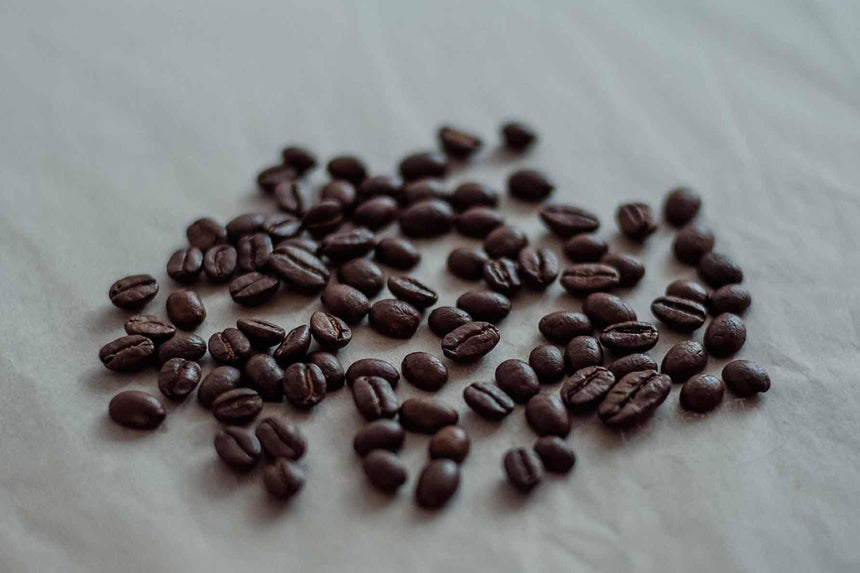 Colombia Organic - オーガニックコーヒーの通販、サブスク - コーヒー豆の卸売り ｜ TOKYO COFFEE Organic Coffee